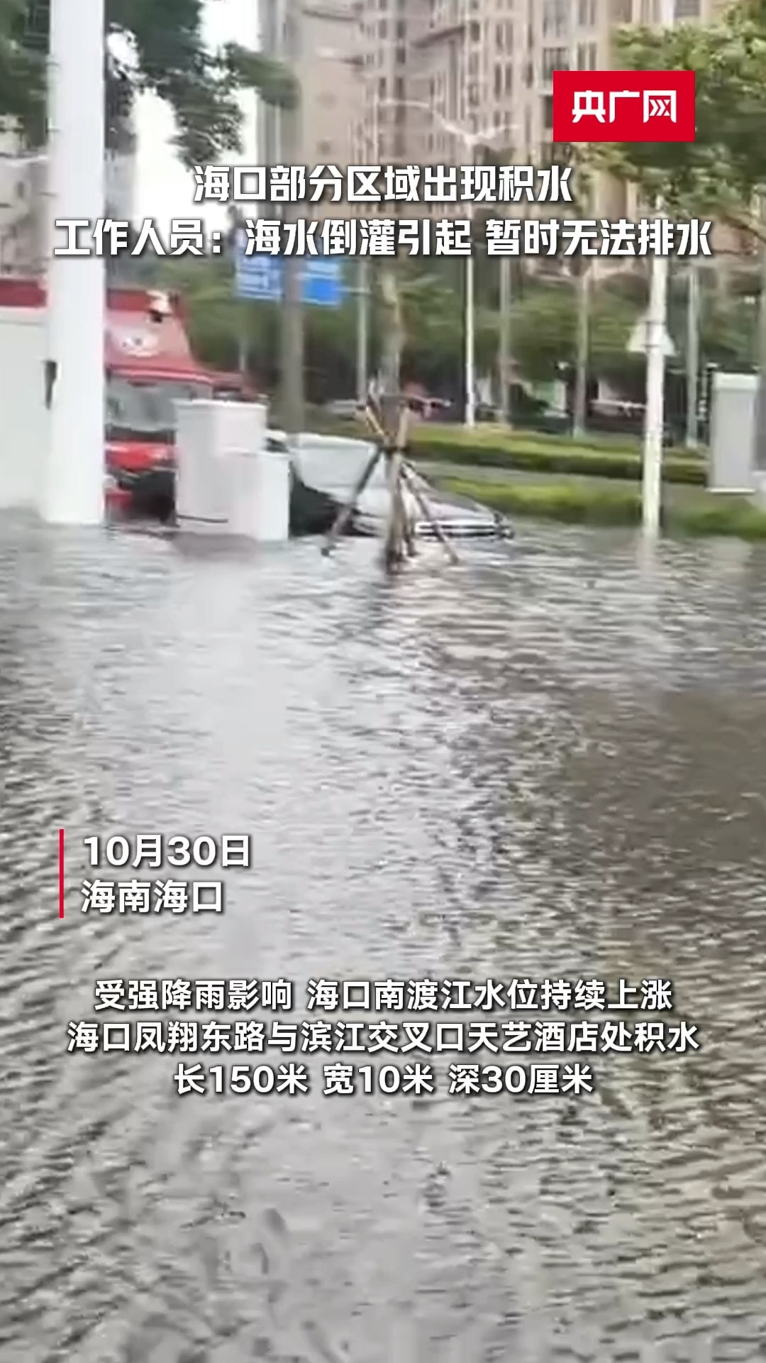 静宁苹果 第1146页