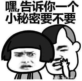 饥荒最新存档状态与价值深度探讨