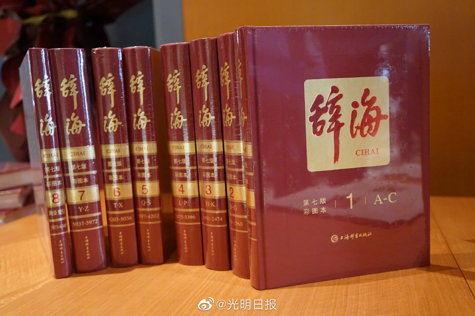 最新版辞海，时代的知识宝库