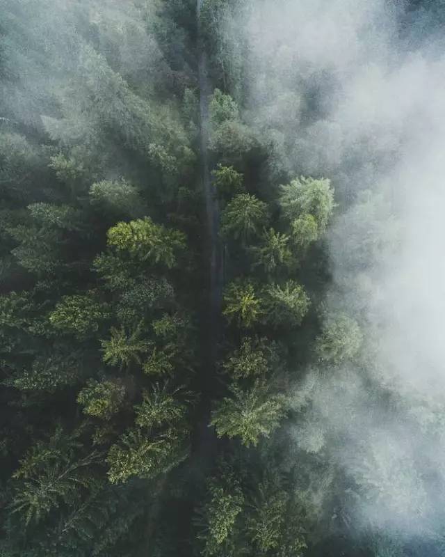 牛盾最新版，自然美景探险之旅，探寻内心平和与宁静的旅程