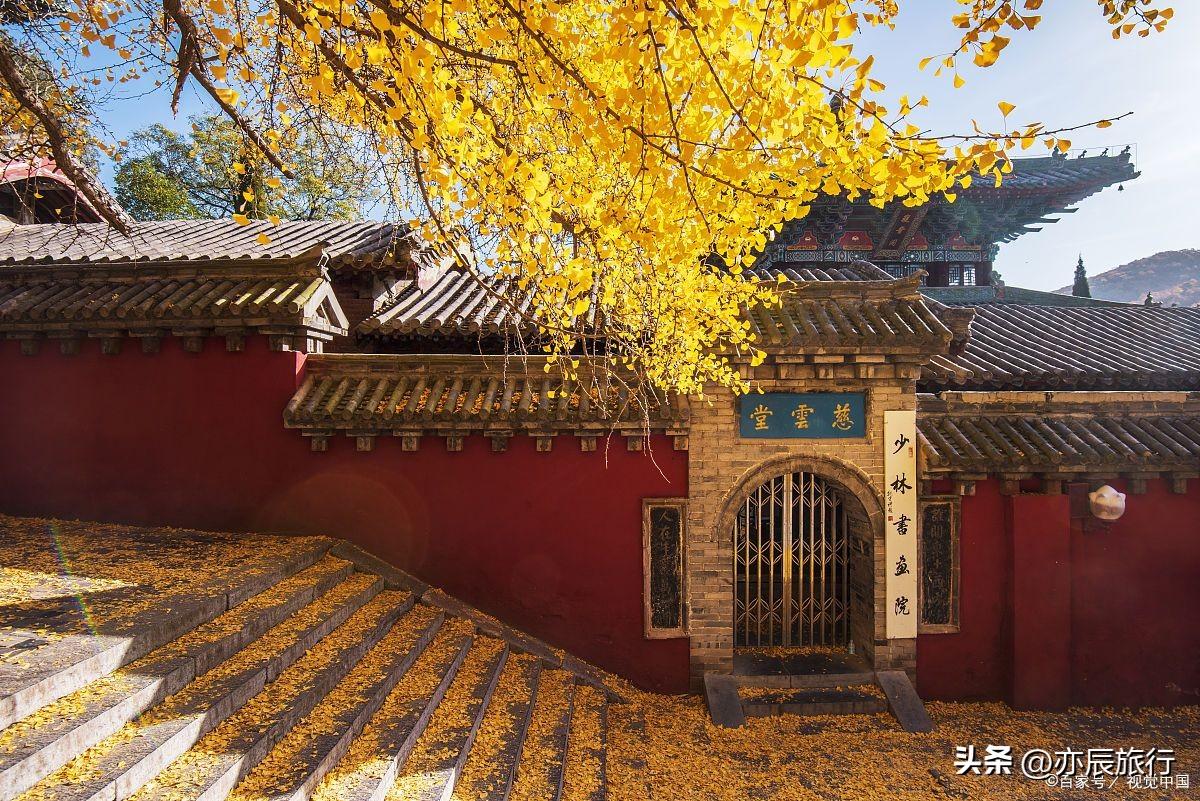 探寻自然美景之旅，最新域名消息与内心宁静的启示
