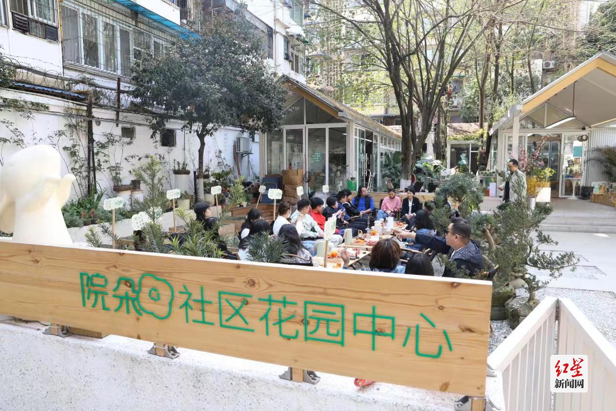 草遛社区1024最新探索，数字时代的社区新风潮