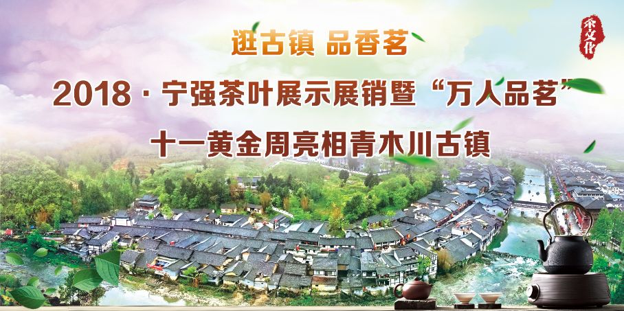 宁强最新消息概览，最新动态一网打尽