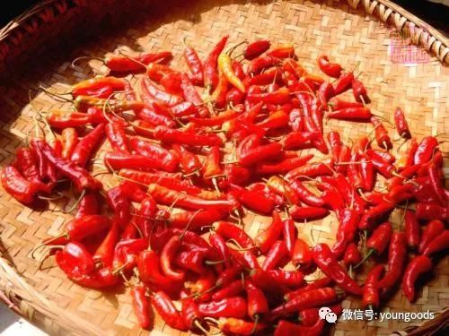 苹果专业合作社 第9页