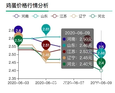 今日淘汰蛋鸡行情分析与小巷特色小店探秘揭秘