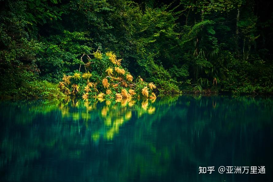 有机水果 第11页