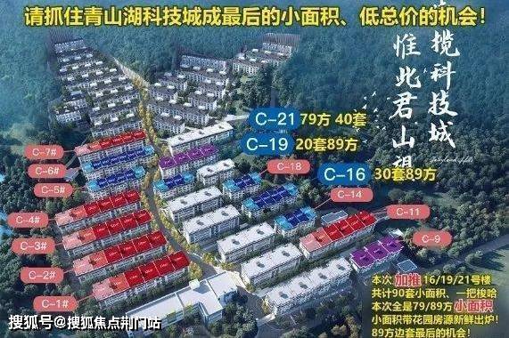 临安青山湖最新楼盘探秘，日常趣事与楼市热点