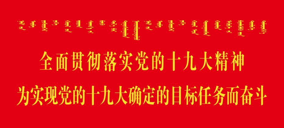 加入我们
