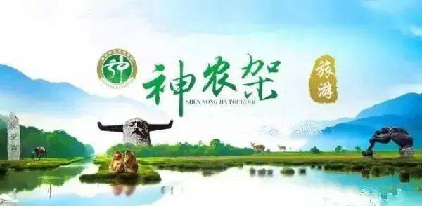 龙游县最新招工信息汇总，启程探索自然美景，寻找内心宁静的职场之旅。