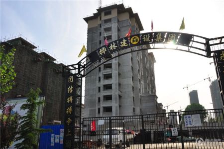 桦林彩云城最新动态，全面观点分析