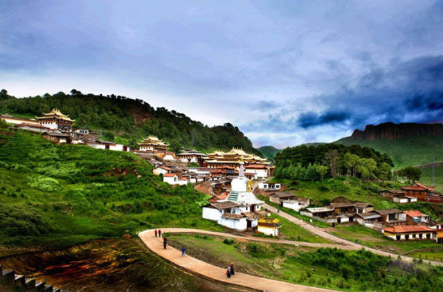 白皮松最新价格表及自然美景探索之旅，寻找内心平和的旅程